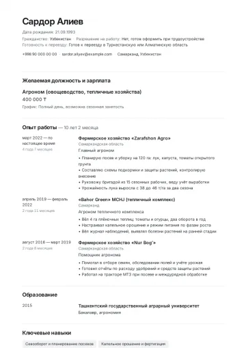 hh.ru formati (Rossiya, Qozogʻiston)